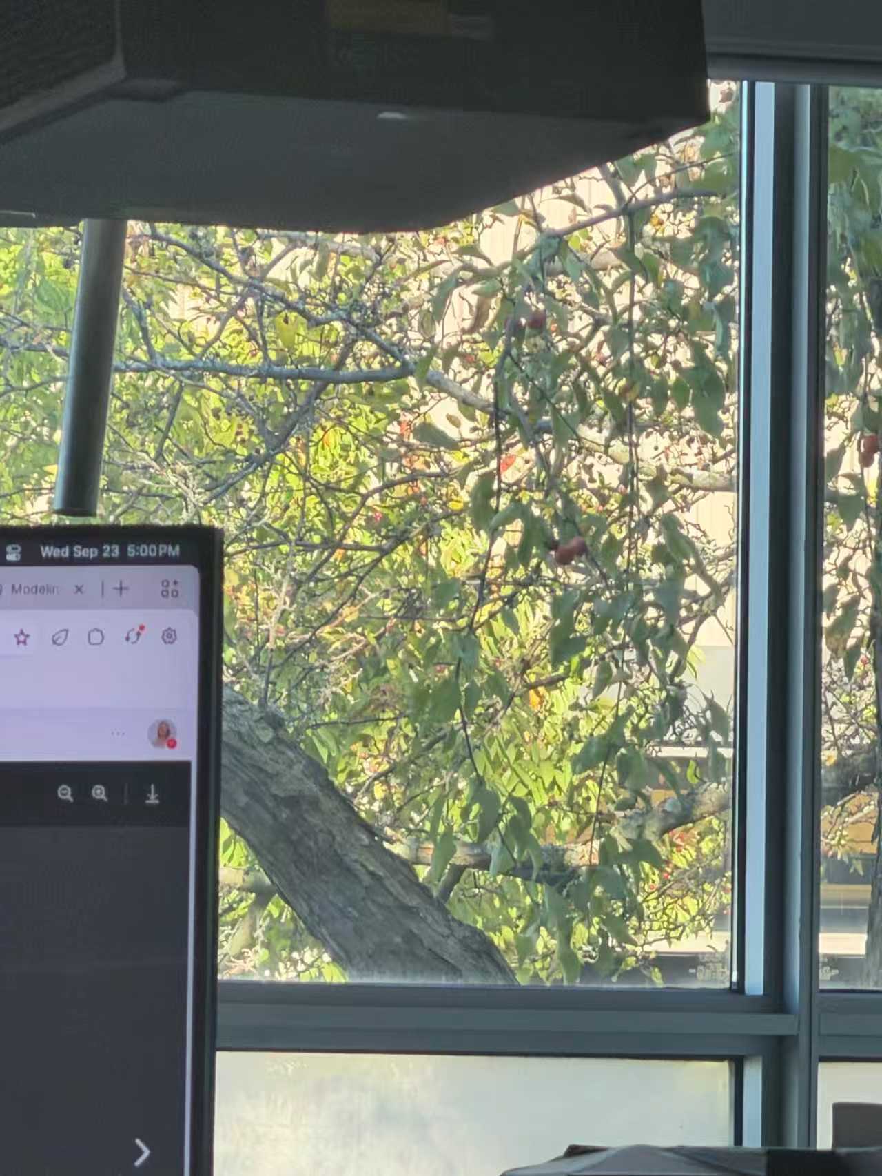 View through the studio window with trees outside.